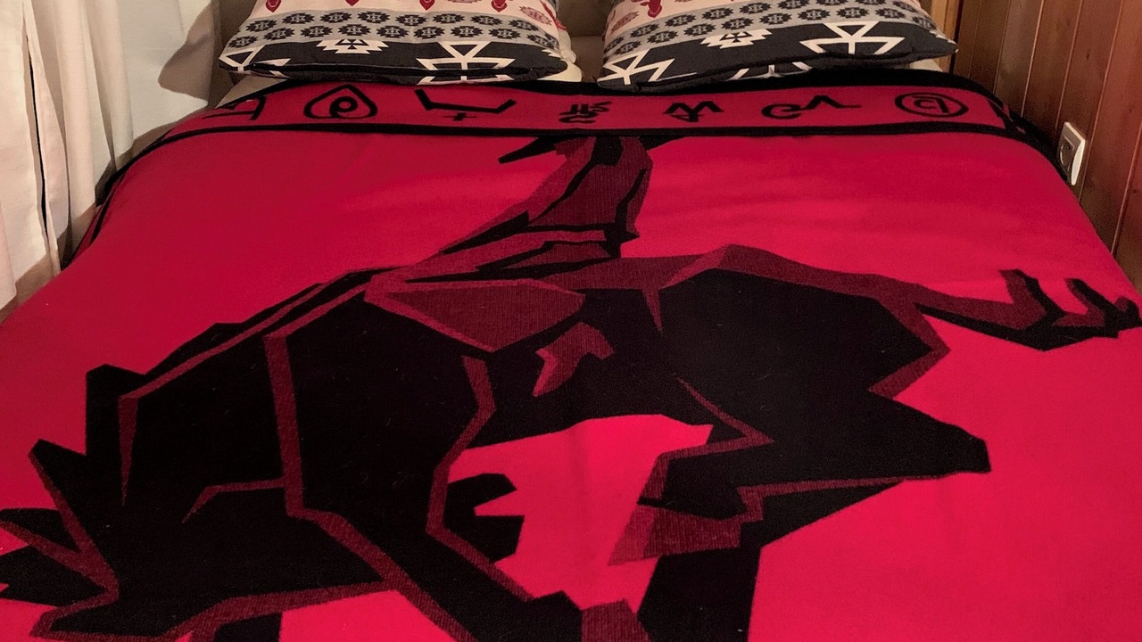 Photo of Bedroom in Samoens