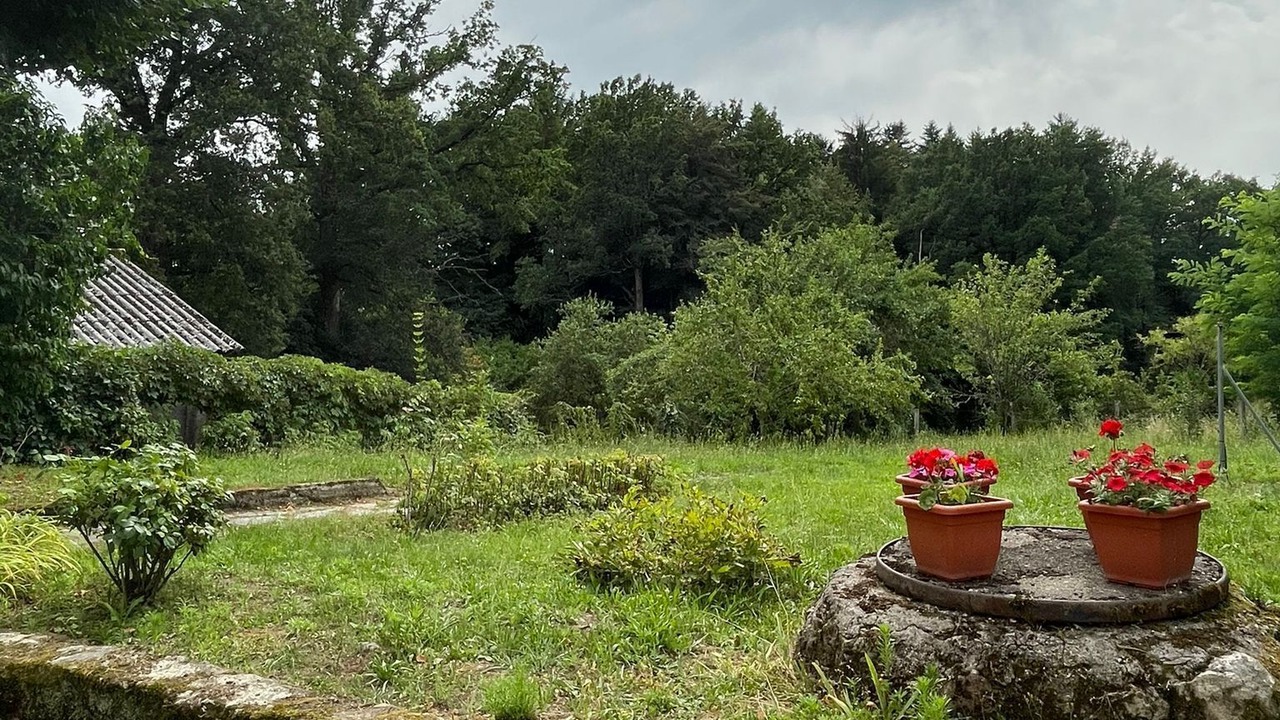 Photo of Outdoor in Chataigneraie Cantalienne
