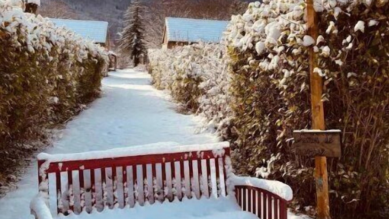 Photo of Outdoor in Chezery Forens