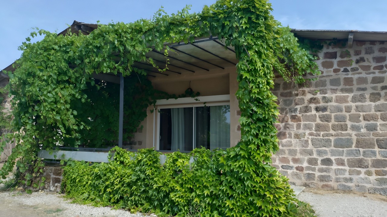 Photo of Outdoor in Nauviale