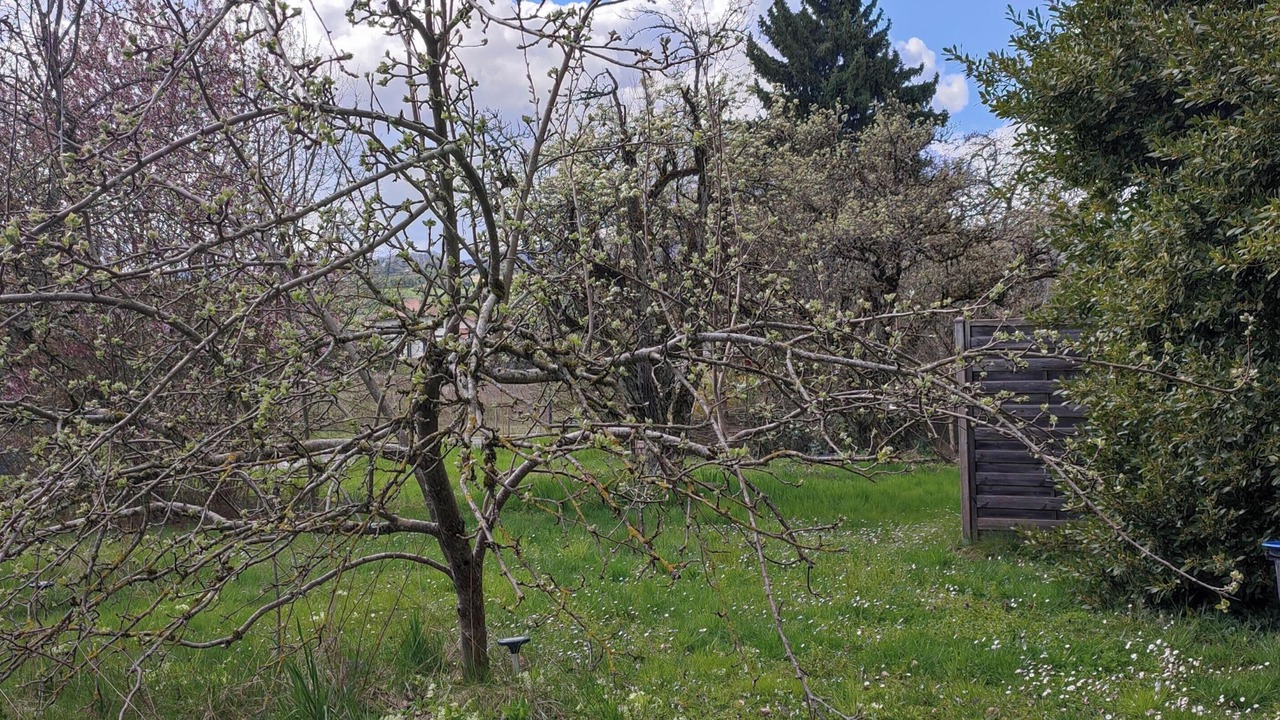 Photo of Outdoor in Reignier-Esery