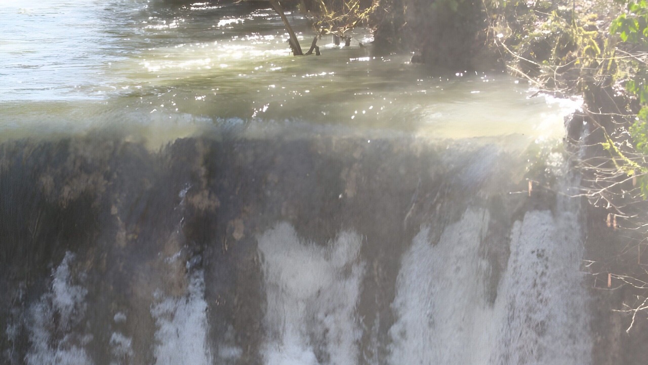 Photo of Others in Briord