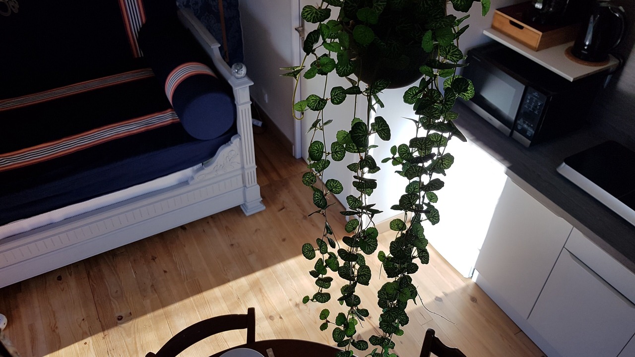 Photo of Livingroom in Nuces