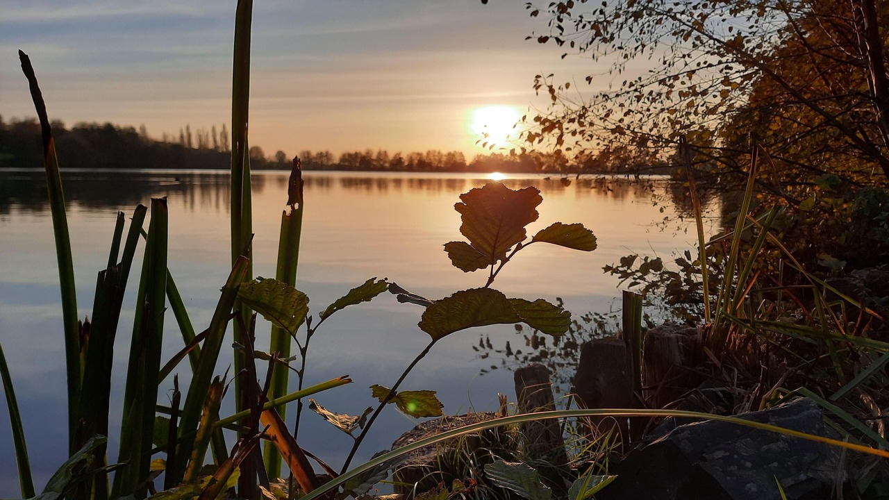 Photo of Others in Bourbon-Lancy