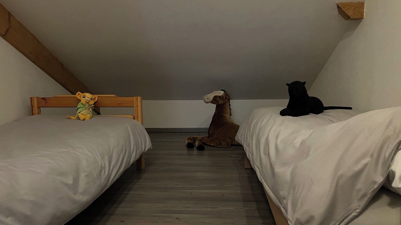 Photo of Bedroom in Les Rousses