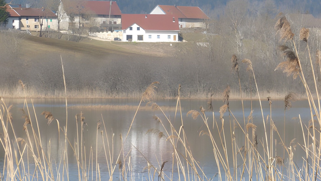 Photo of Others in Grande-Riviere-Chateau