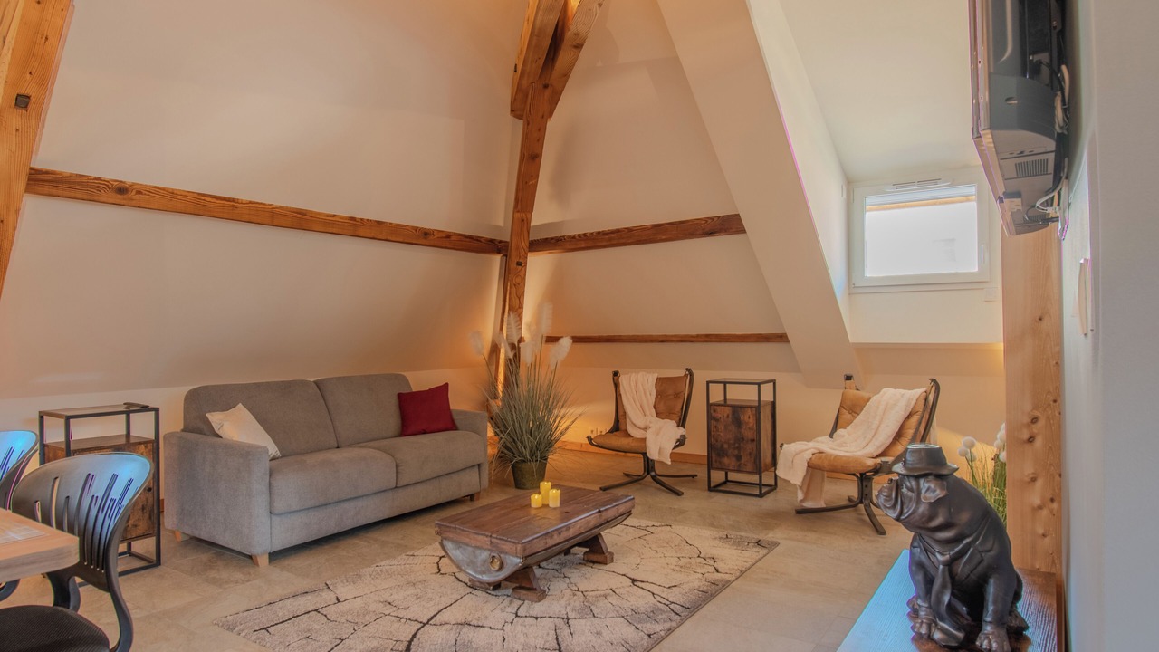 Photo of Livingroom in Cluses