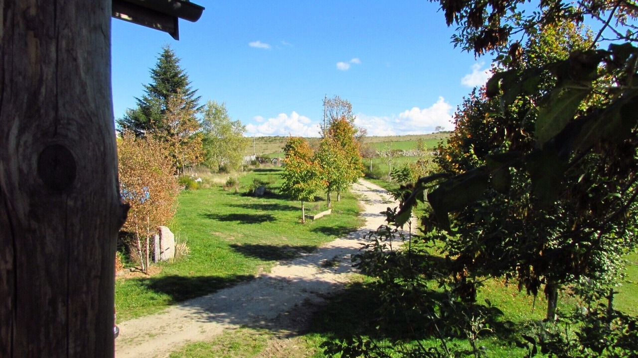 Photo of Outdoor in La Trinitat