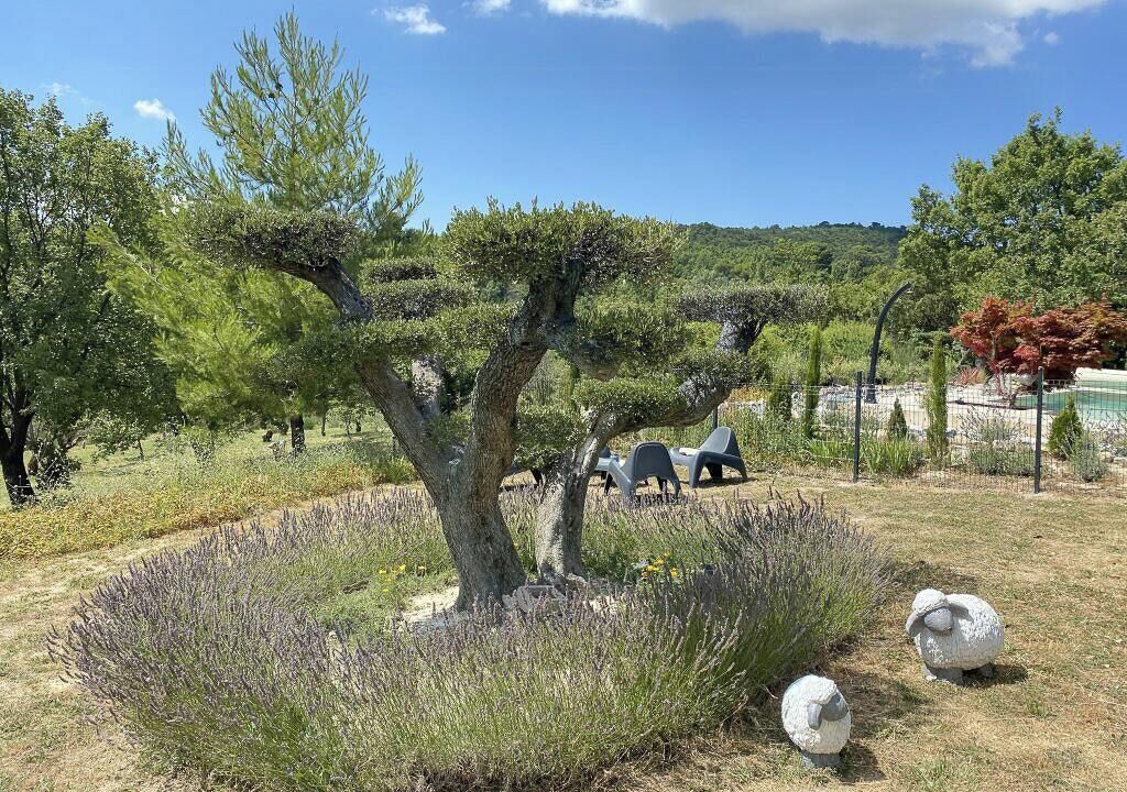 Photo of Outdoor in Murs