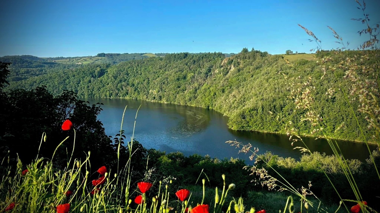 Photo of Others in Saint-Jean-Saint-Maurice-sur-Loire