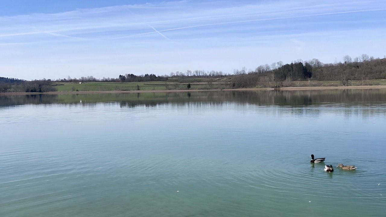 Photo of Others in Vertamboz