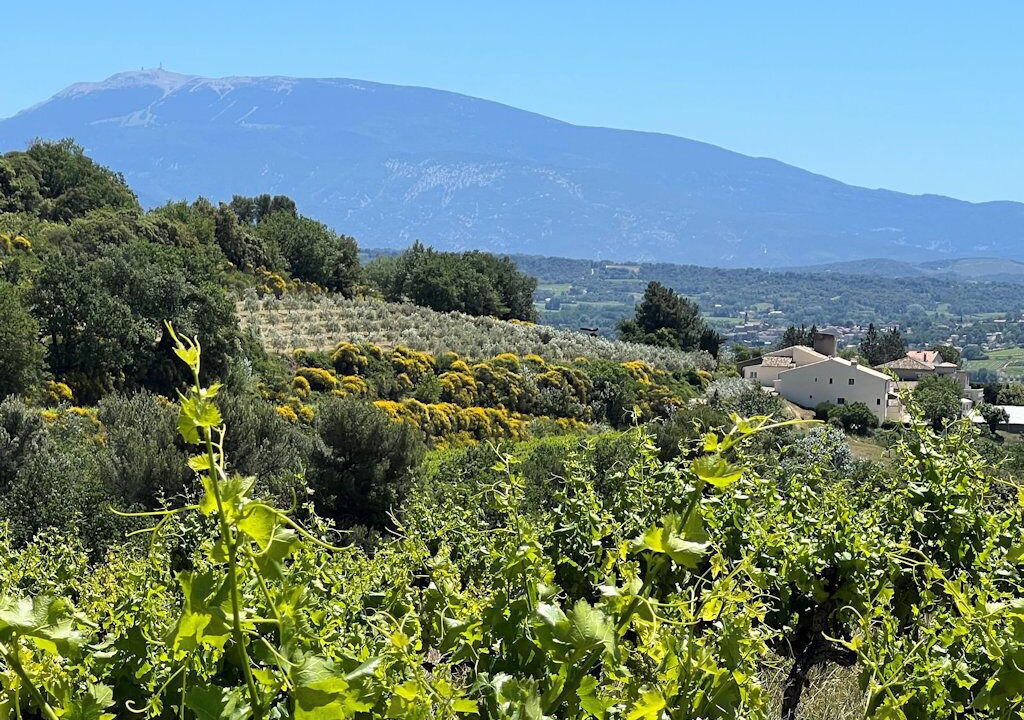 Photo of Others in Vinsobres