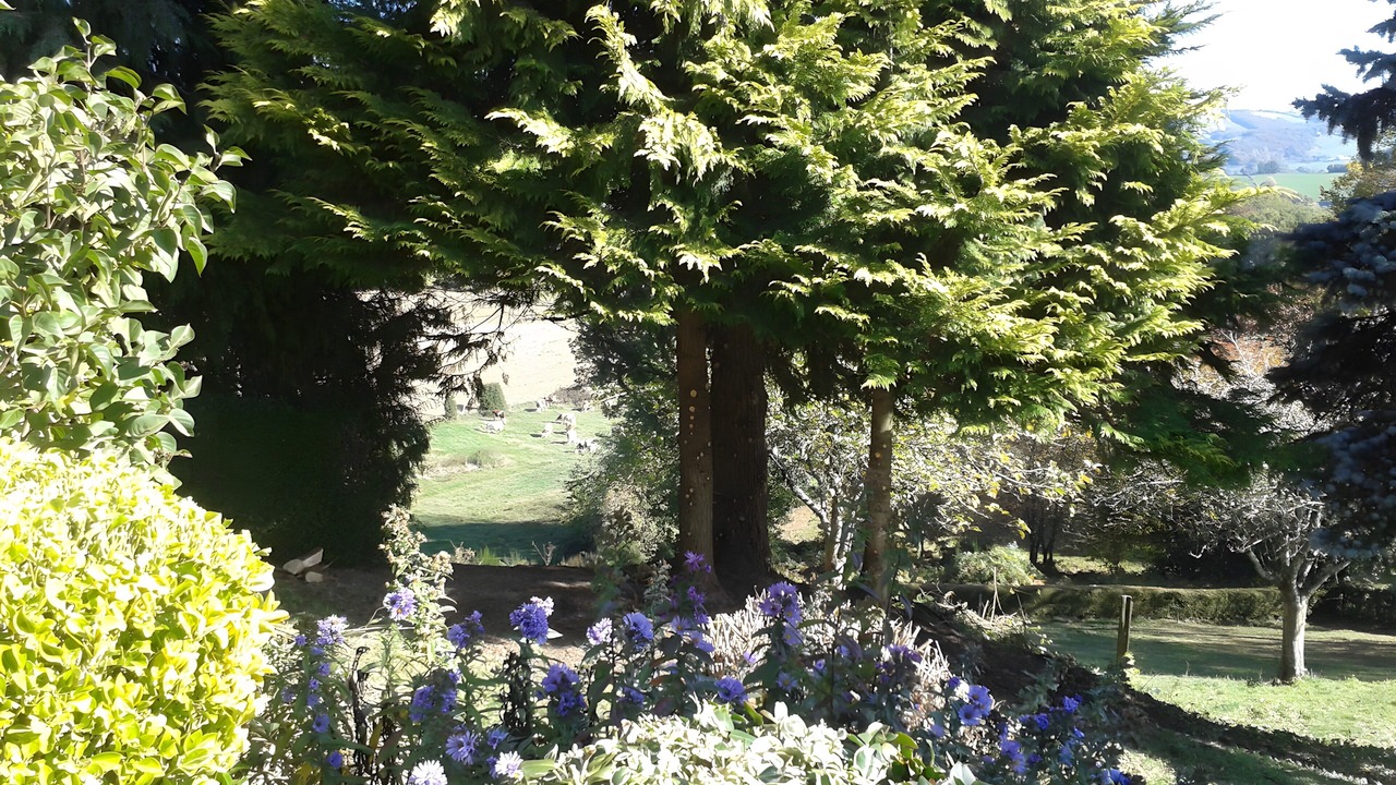 Photo of Outdoor in Sansac-Veinazes