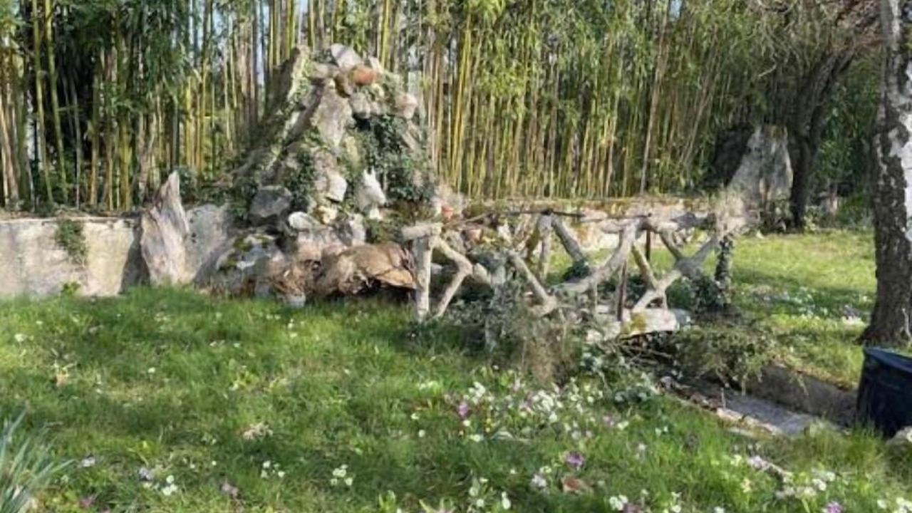 Photo of Outdoor in Avon