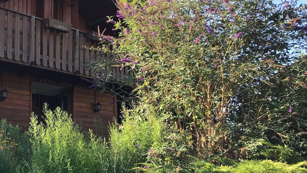 Photo of Outdoor in Saint-Julien-en-Vercors