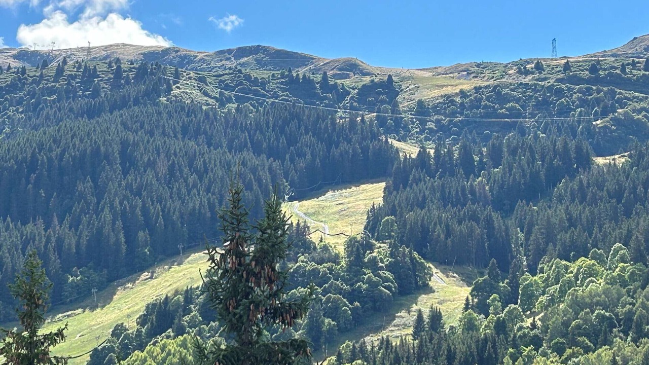 Photo of Others in Meribel Centre