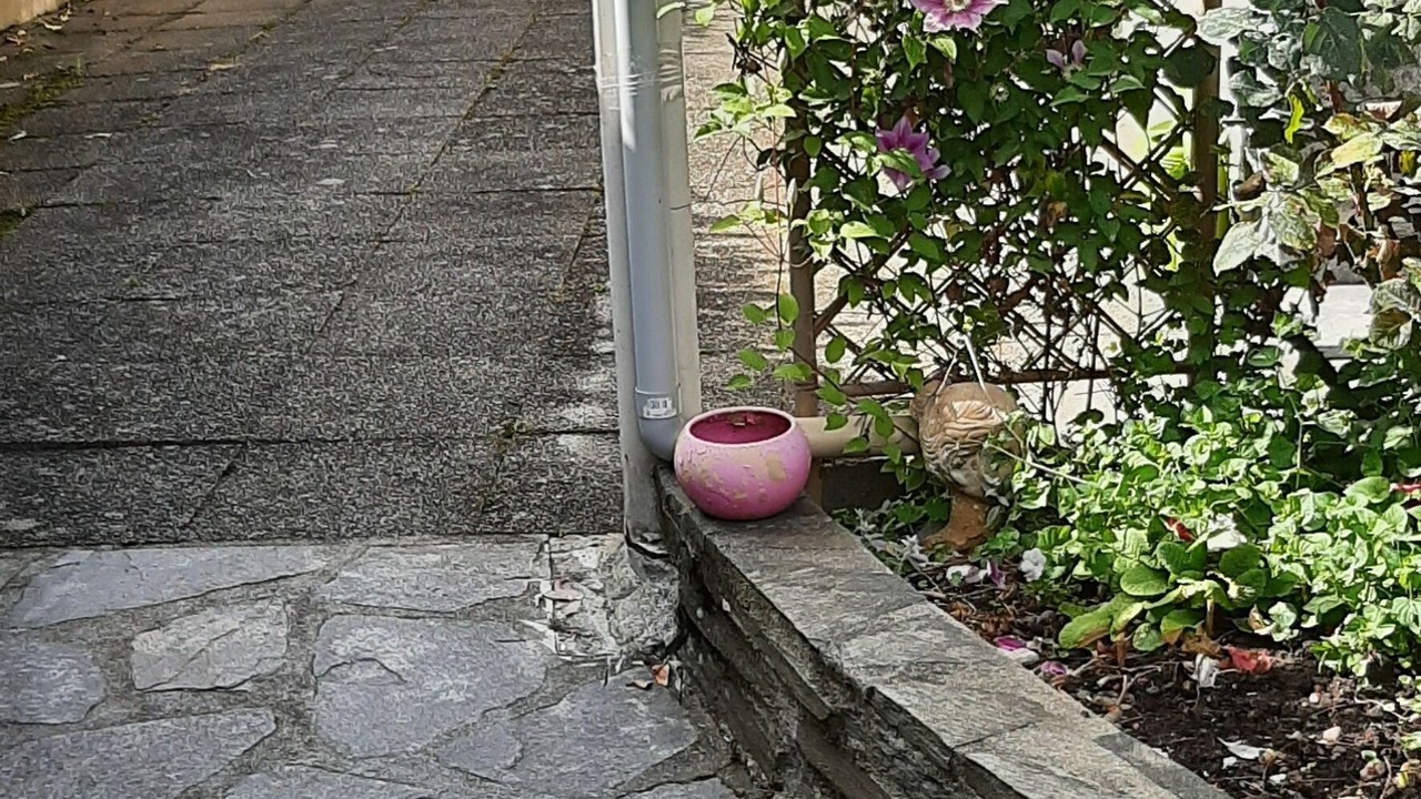 Photo of Outdoor in Aurillac