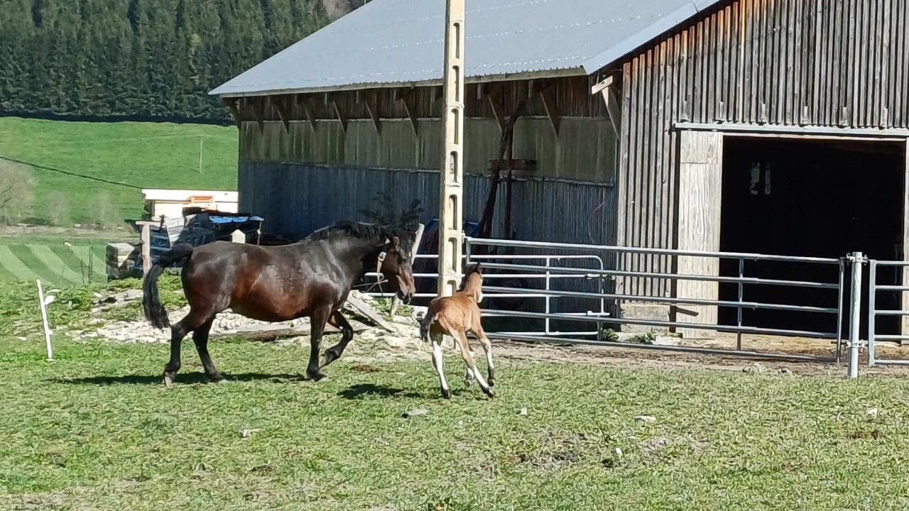 Photo of Outdoor in Meaudre