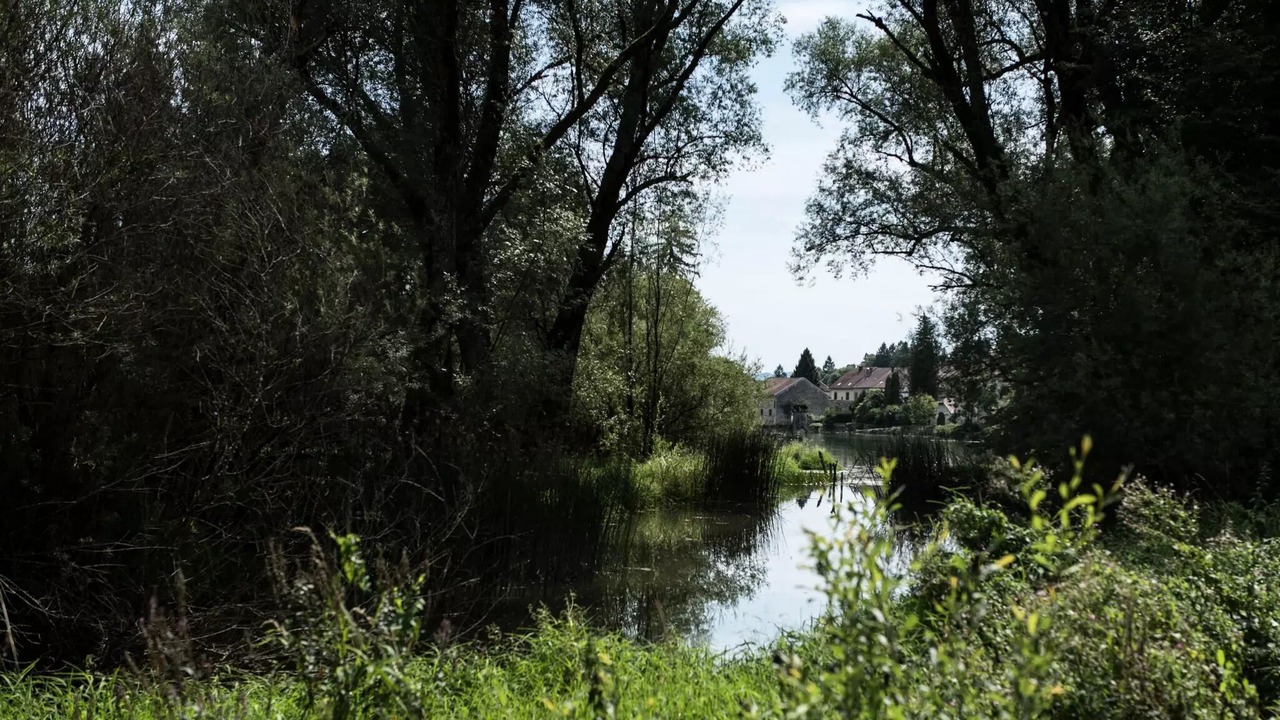 Photo of Others in Pont-de-Poitte