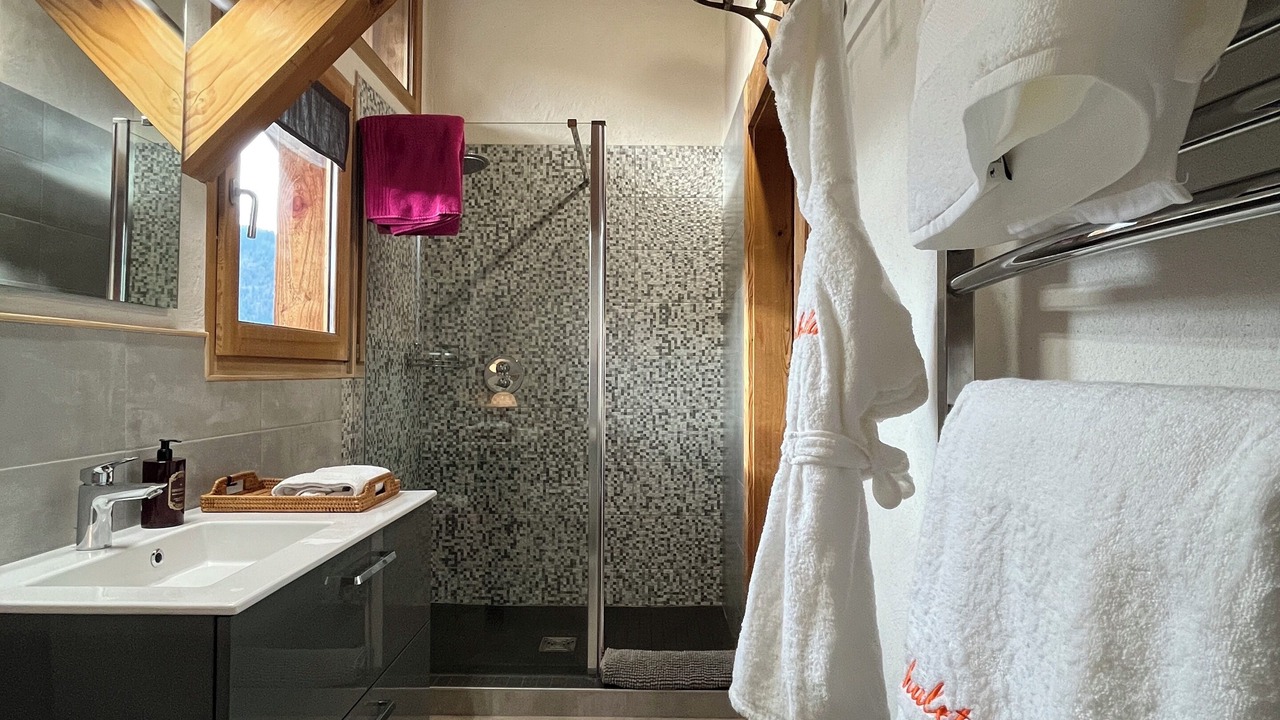 Photo of Bathroom in Montriond