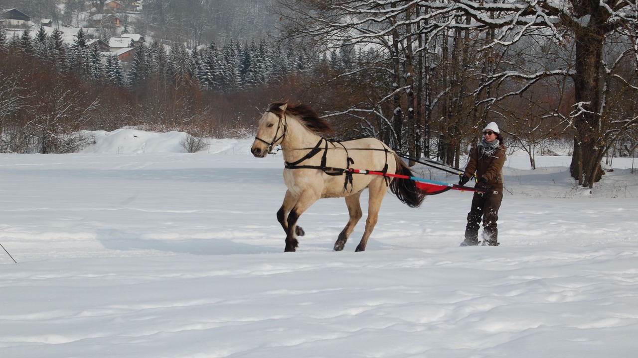 Photo of Outdoor in Les Esserts