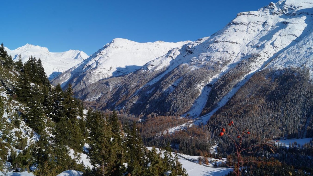 Photo of Others in Lanslevillard