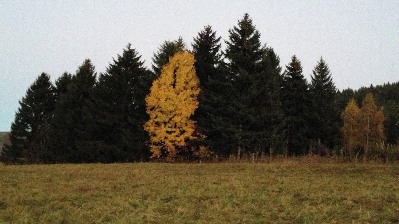 Photo of Outdoor in Autrans