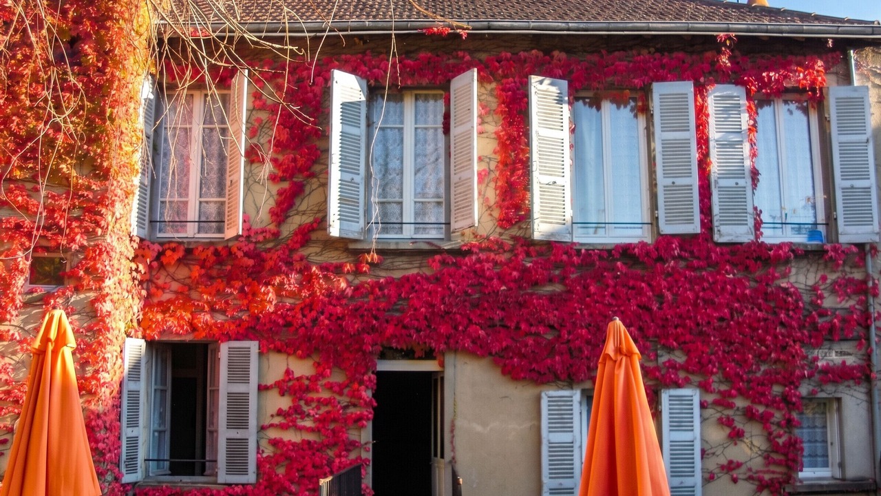 Photo of Others in Neris-les-Bains