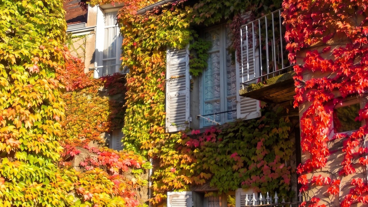 Photo of Others in Neris-les-Bains