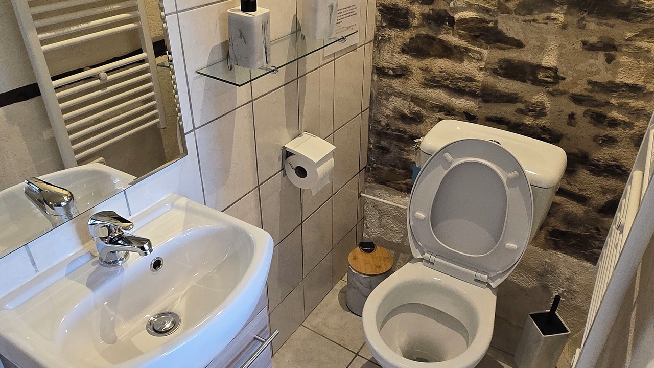 Photo of Bathroom in Vieillevie