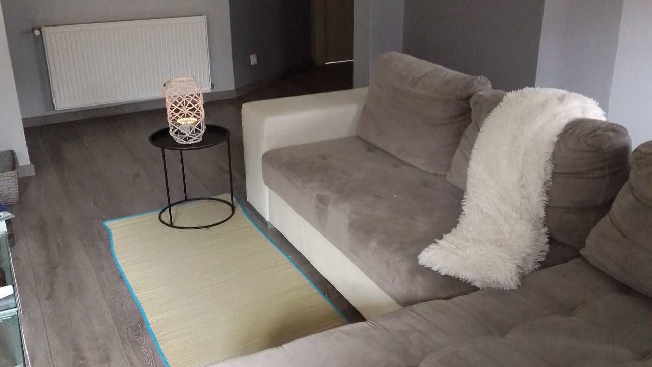 Photo of Livingroom in Cluses