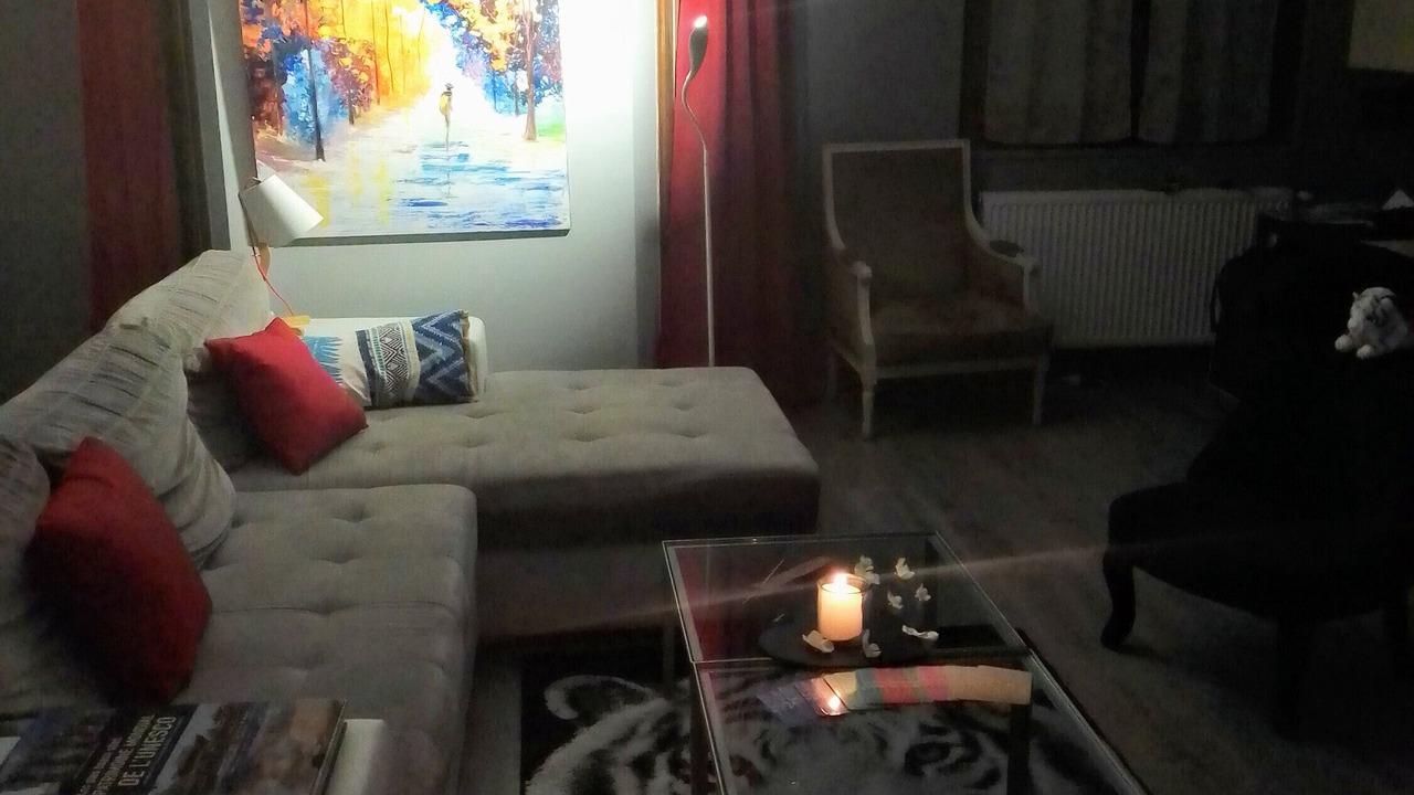 Photo of Livingroom in Cluses