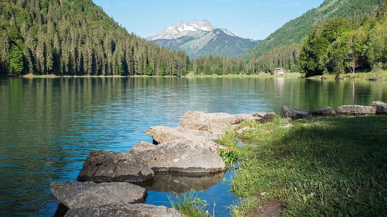 Photo of Others in Montriond
