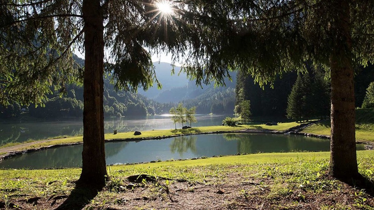 Photo of Others in Montriond
