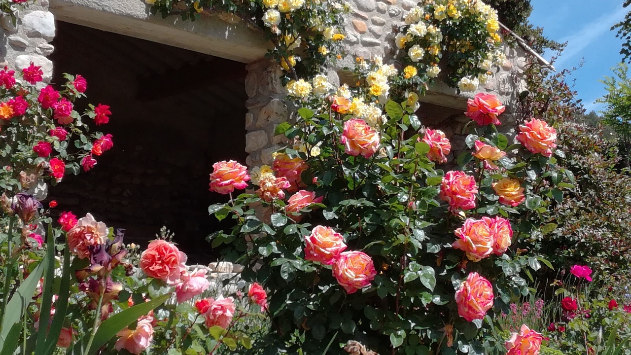 Photo of Outdoor in Vinsobres
