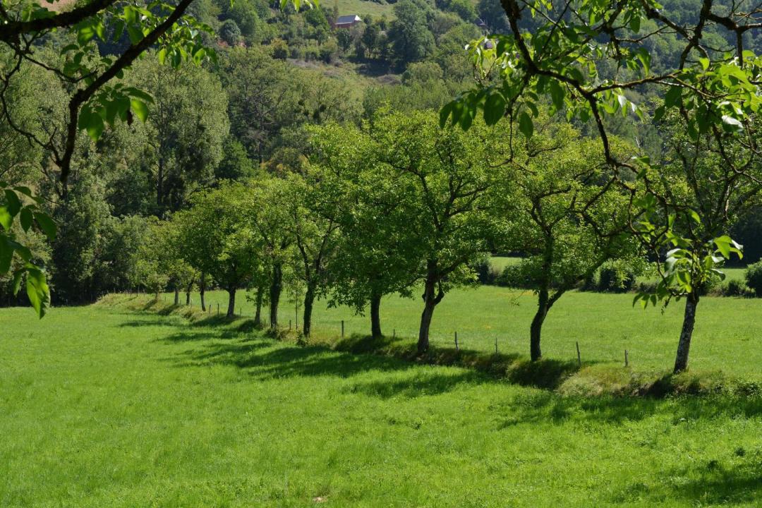 Photo of Others in Villecomtal