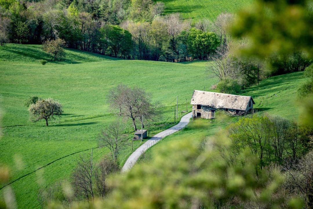 Photo of Others in Montagnole