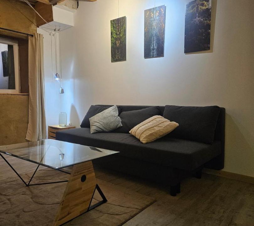 Photo of Livingroom in Saint-Benoit