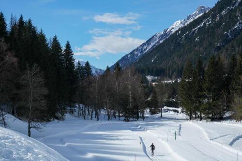 Photo of Others in Argentiere
