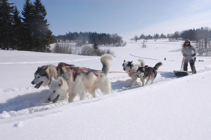 Photo of Others in Mijoux