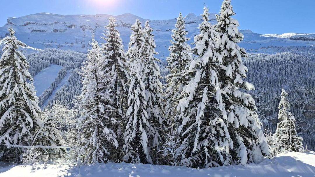 Photo of Others in Flaine