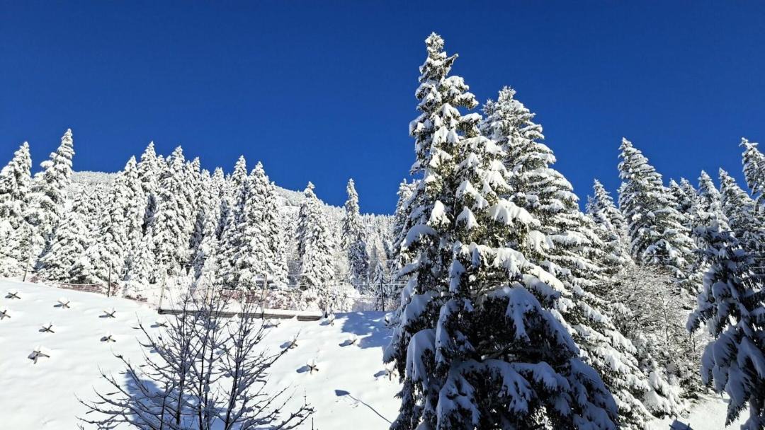 Photo of Others in Flaine