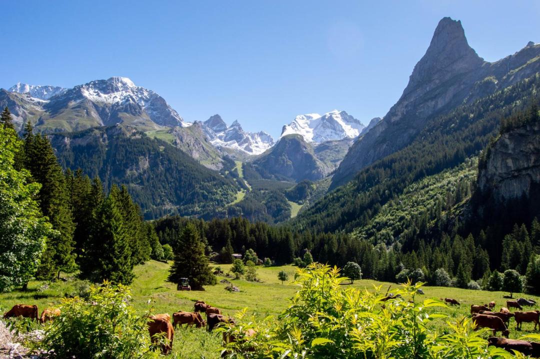 Photo of Others in Pralognan-la-Vanoise