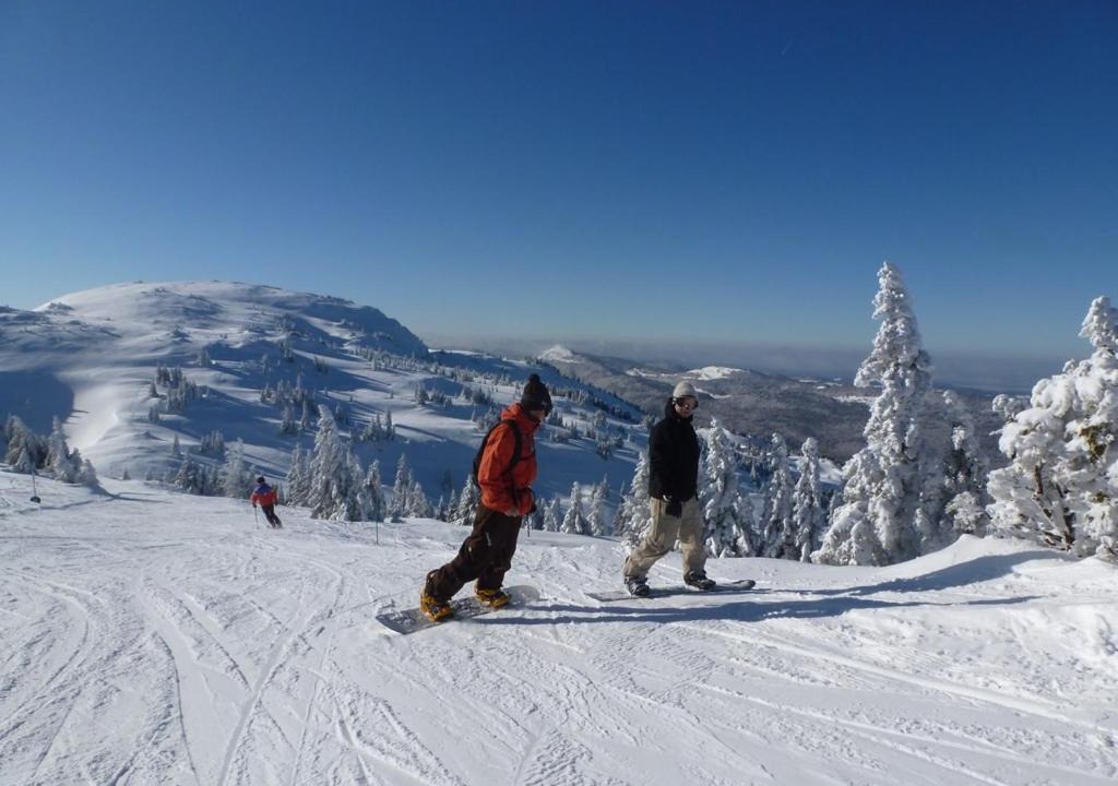 Photo of Others in Mijoux