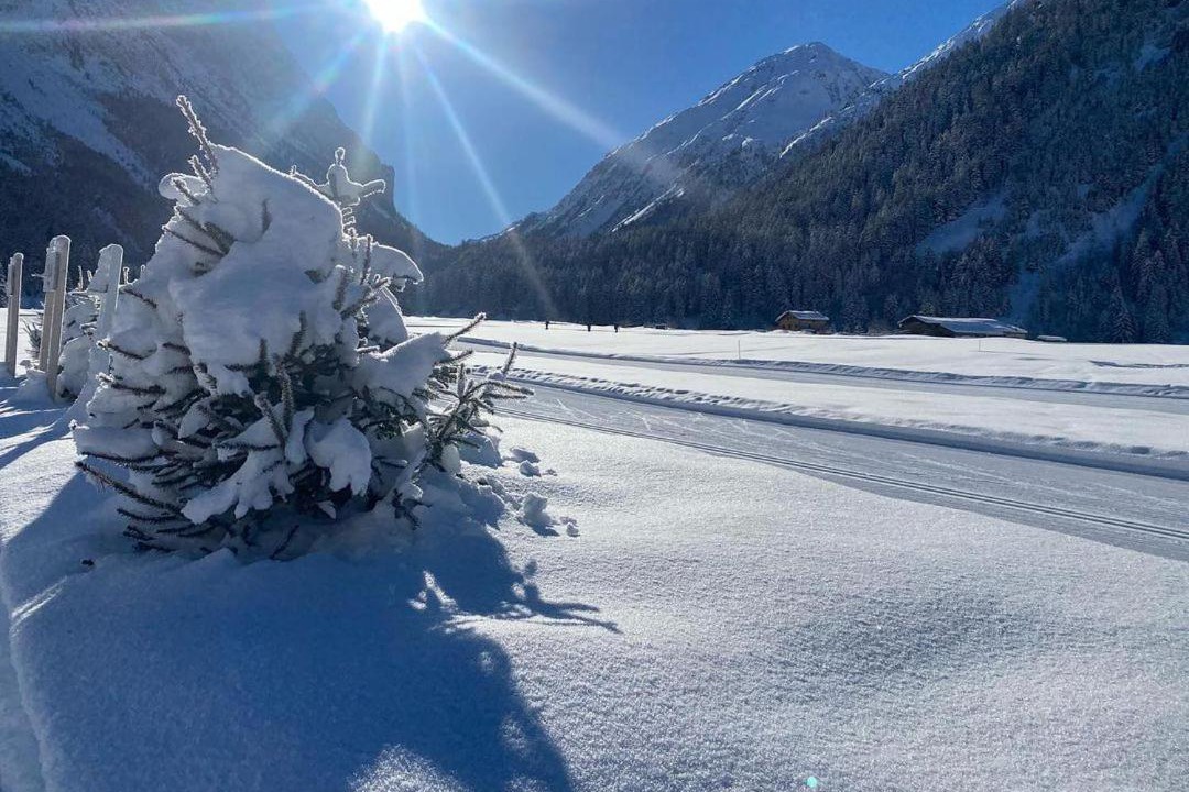 Photo of Others in Pralognan-la-Vanoise
