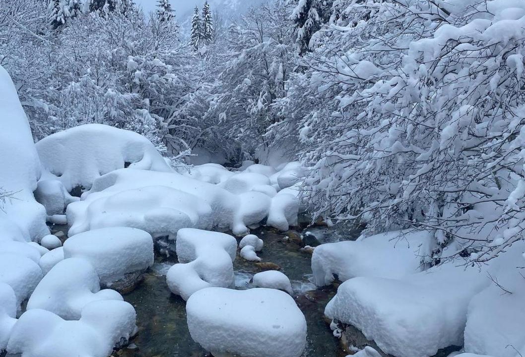 Photo of Others in Pralognan-la-Vanoise