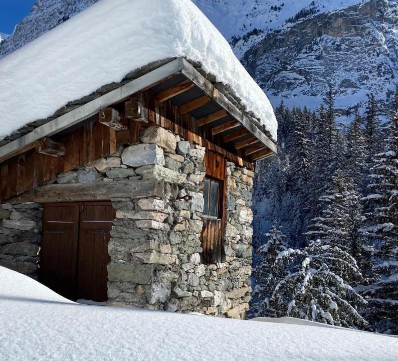 Photo of Others in Pralognan-la-Vanoise