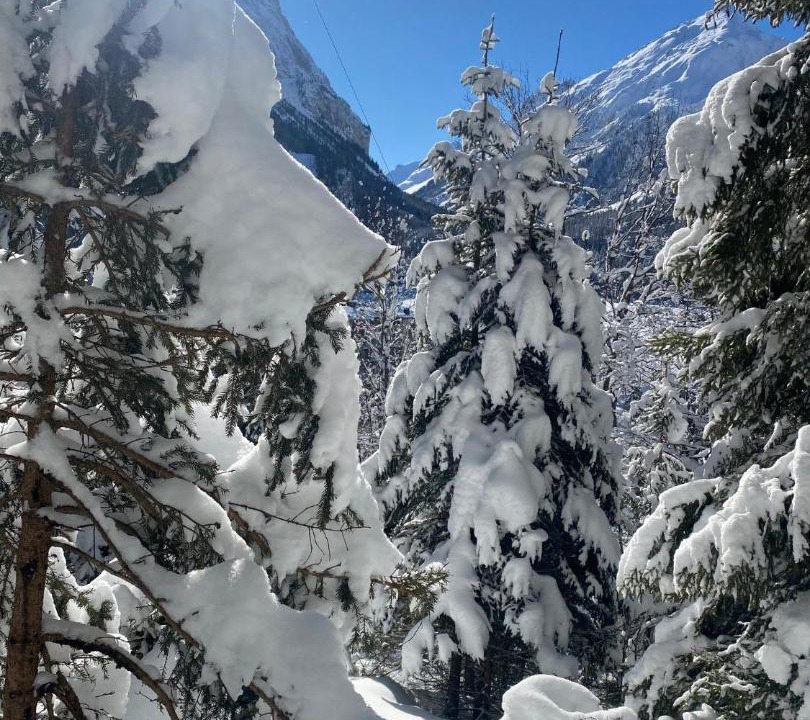 Photo of Others in Pralognan-la-Vanoise