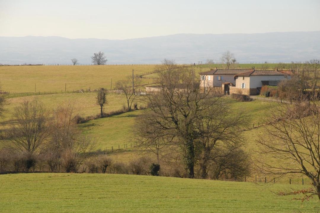 Photo of Others in Saint-Galmier