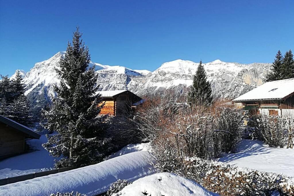 Photo of Others in Les Carroz-d'Araches